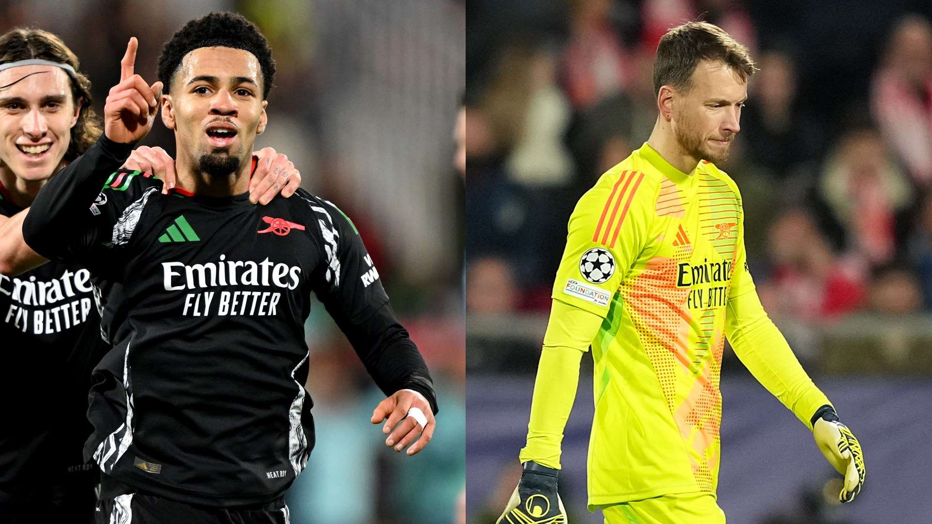 马的情况下 马的情况下